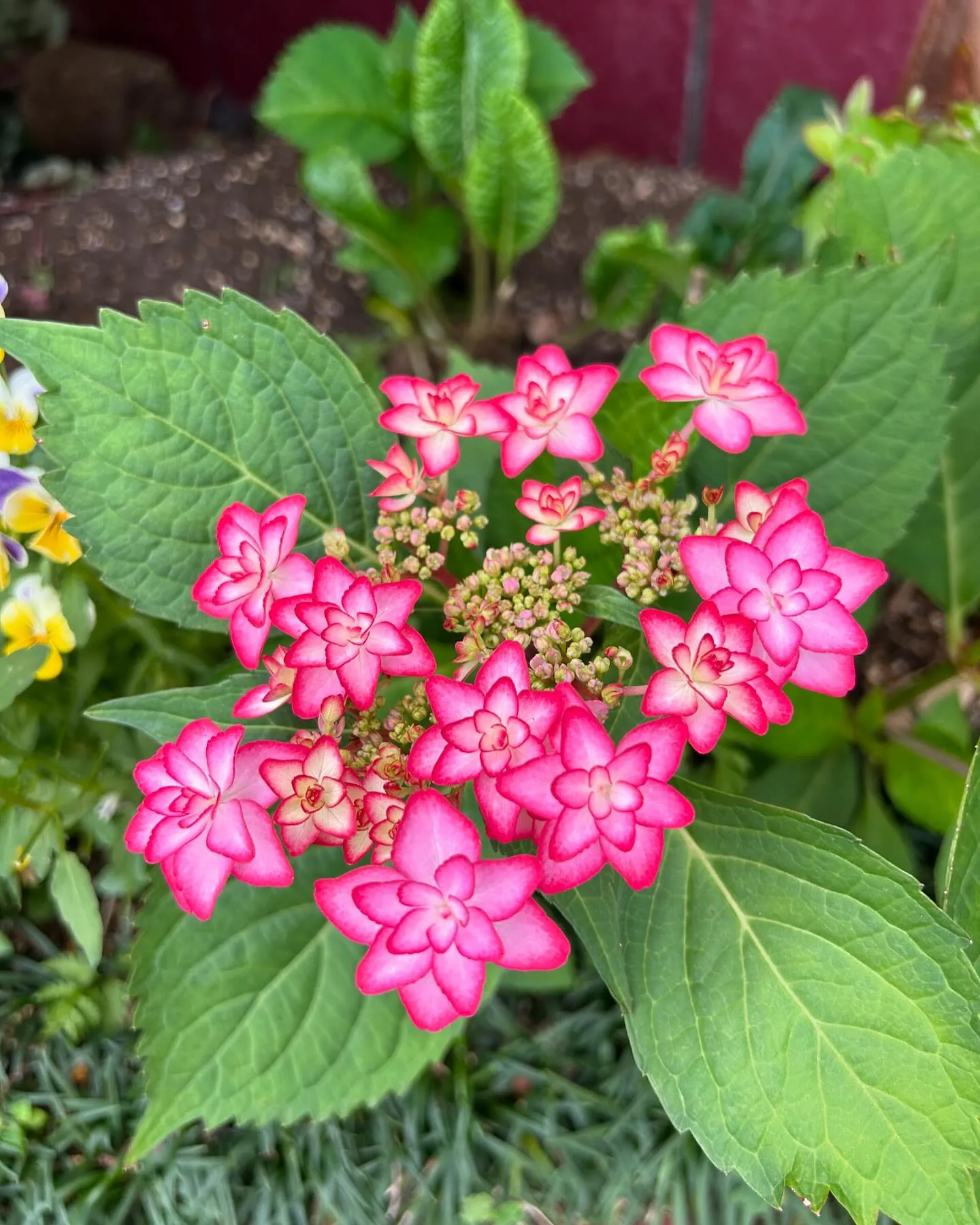 皆様おはようございます✨